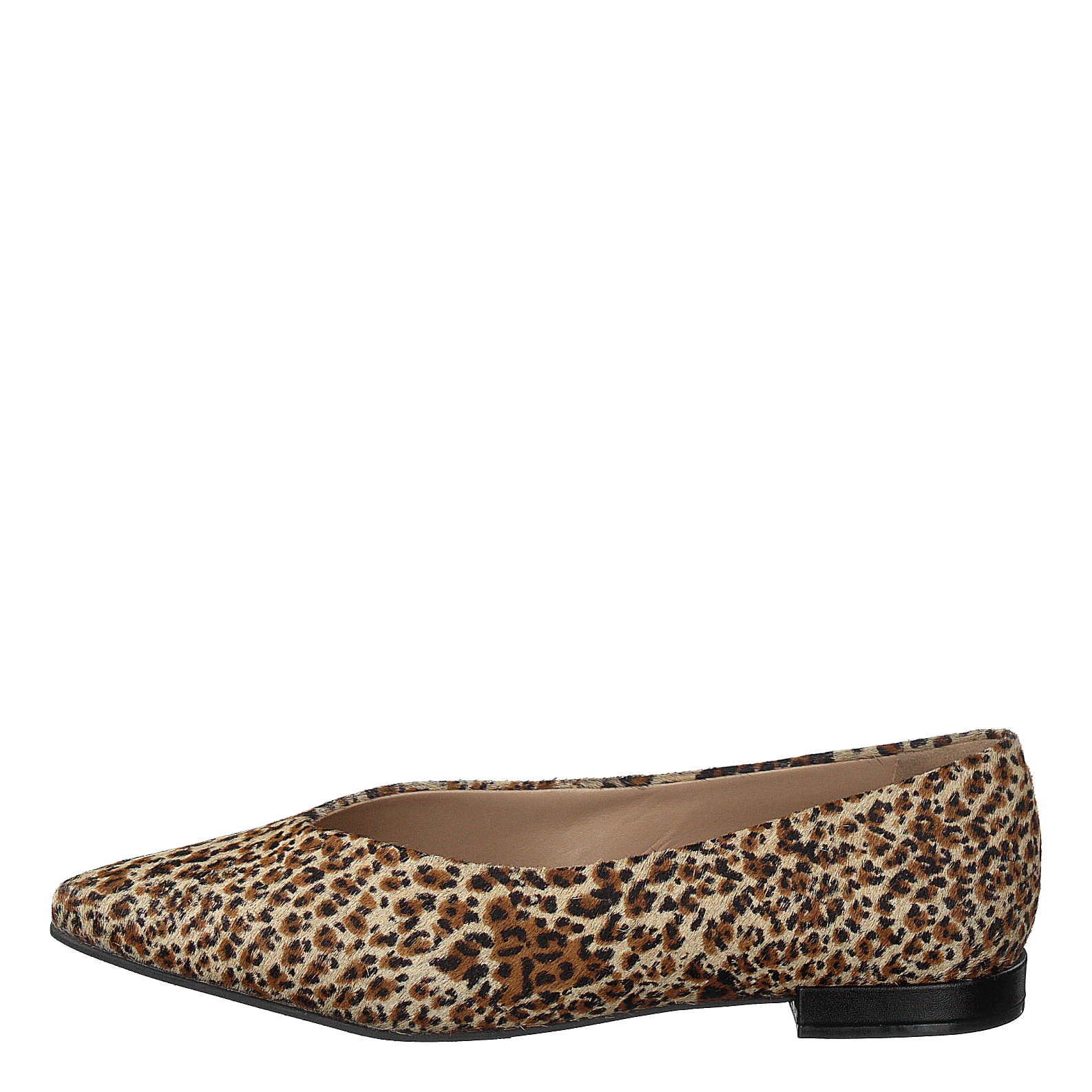 Hibiscus Leopardo Shoe Biz