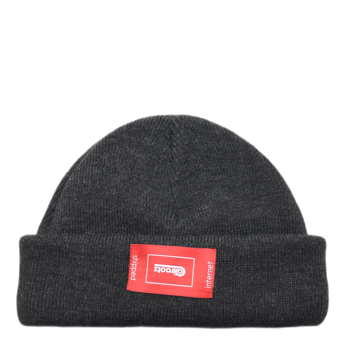 Palm Beanie Gray