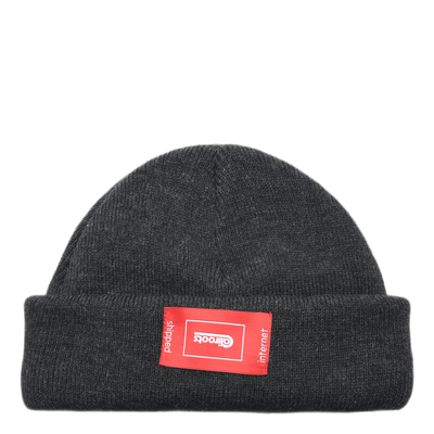 Palm Beanie Gray