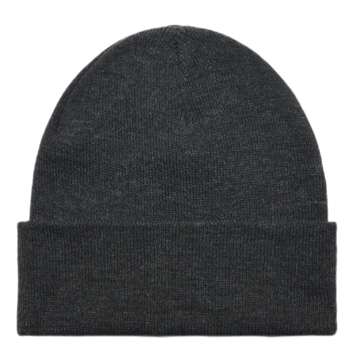 Palm Beanie Gray