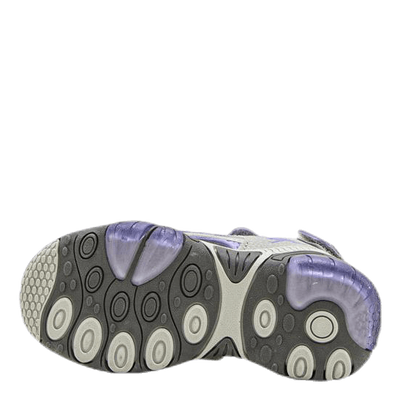 Sandalshine Purple/Grey