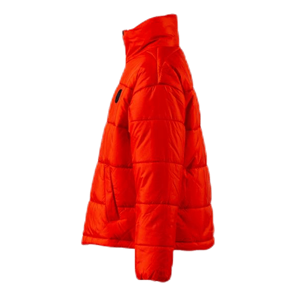 Jr North Jacket Orange