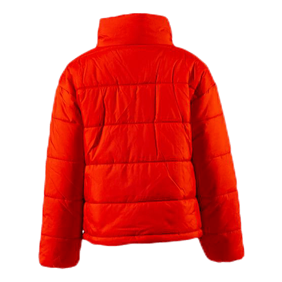 Jr North Jacket Orange