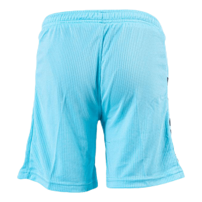 Goalkeeper Shorts Monaco Blue