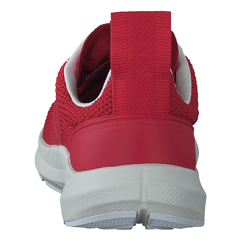 Performance Runner V-knit Rick Carnelian