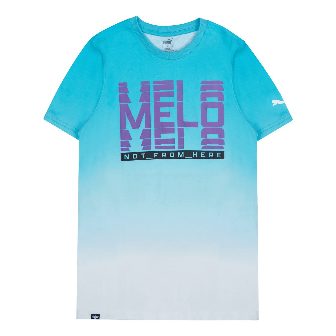 Melo Fade Ss Tee