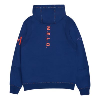 Rare Hoodie Elektro