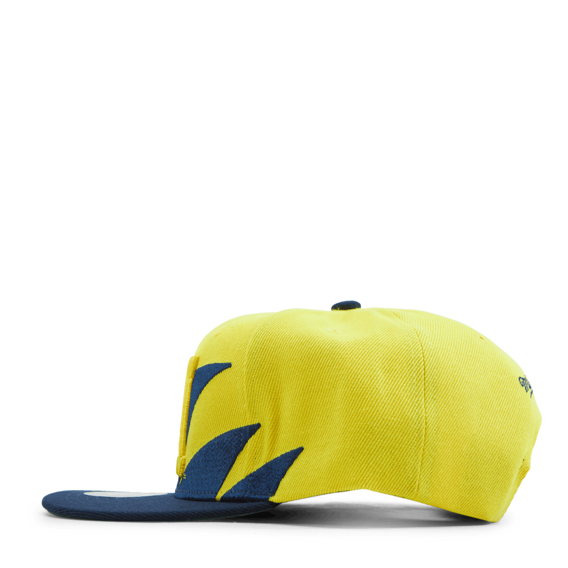 Michigan Sharktooth Snapback