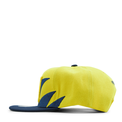 Michigan Sharktooth Snapback