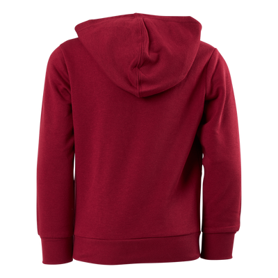 Hooded Sweatshirt Rs506