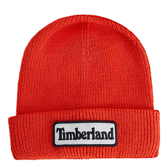 Timberland Logo Hat 40a