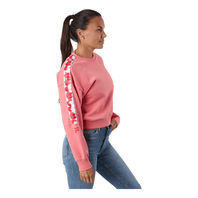 Bettens Cropped Crew Sweat 40021 - Tea Rose