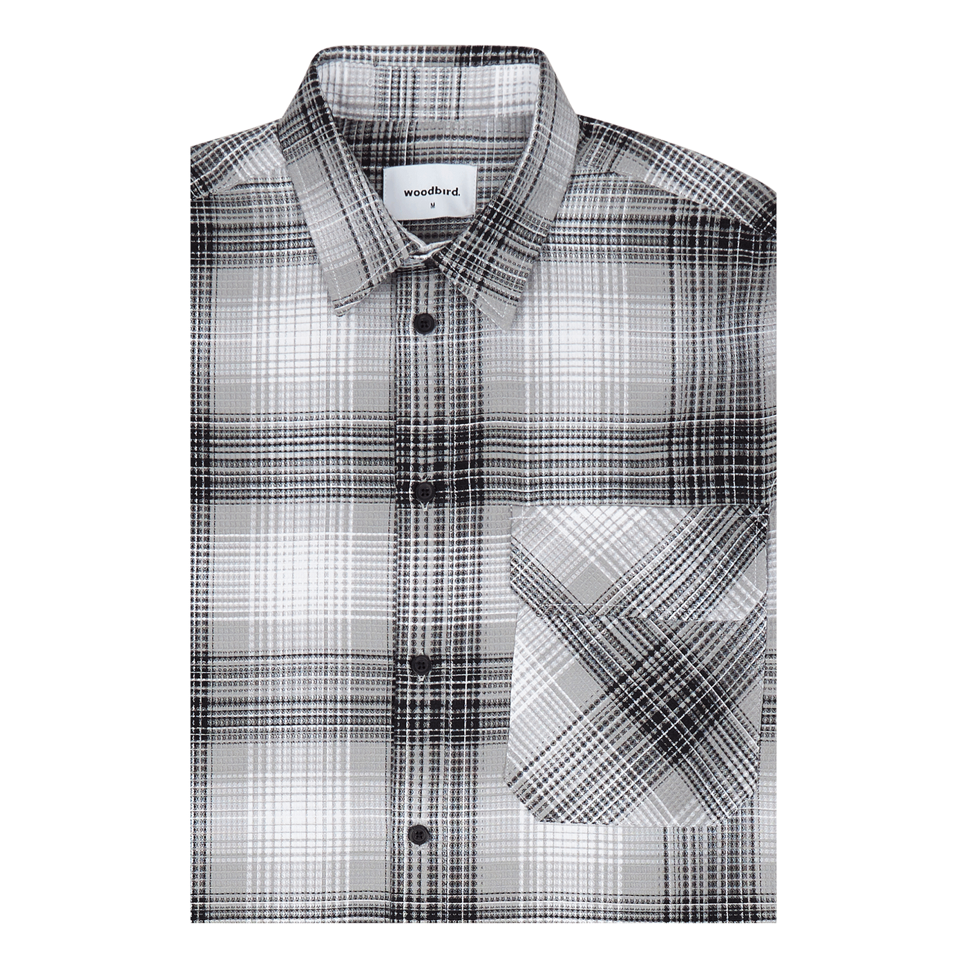 Stoll Crook Shirt 221