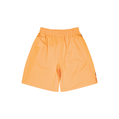 Ua Tech Vent Short Orange Blast