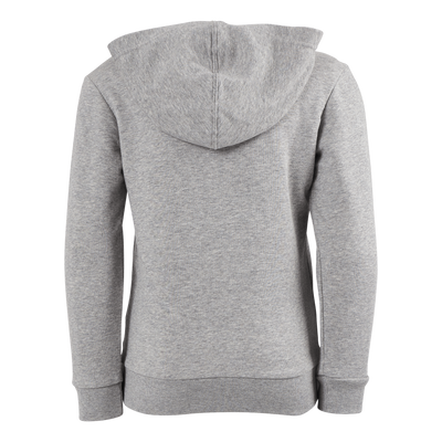 Essentials Two-Colored Big Logo Cotton Hoodie Medium Grey Heather