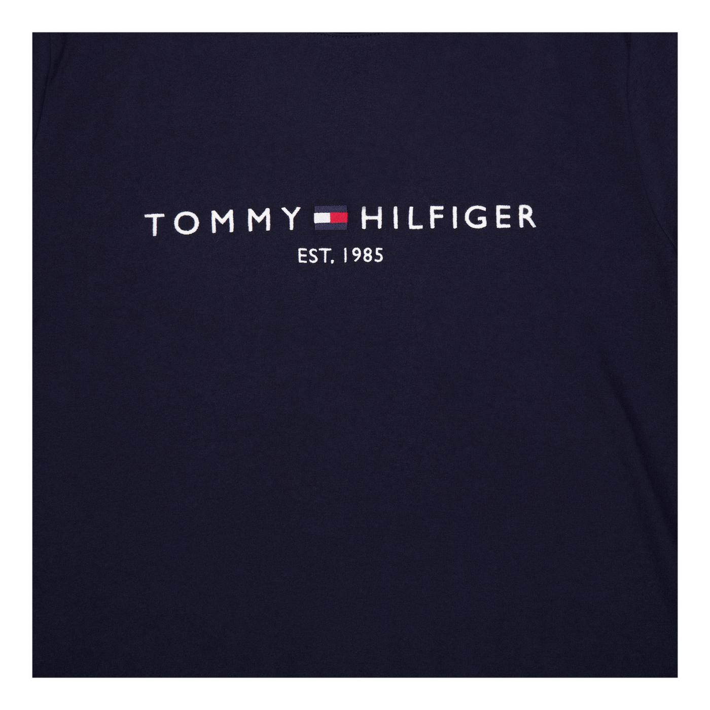 Tommy Hilfiger Curve Embroider Blue