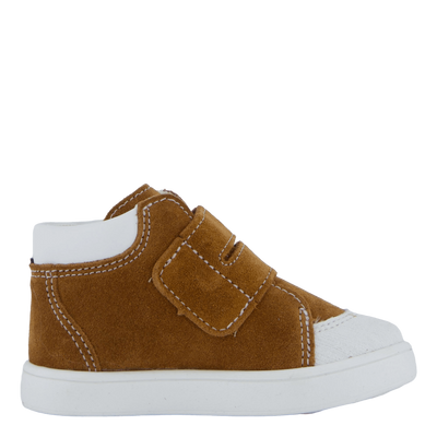 Fiskeby Xcs Cognac