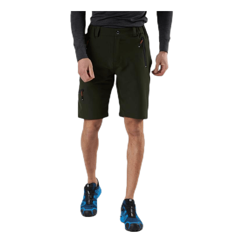 Walther Shorts Green