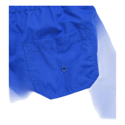 Palm Swim Shorts Blue