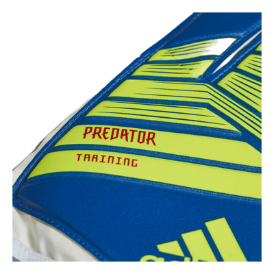 Predator Training Blue/Yellow