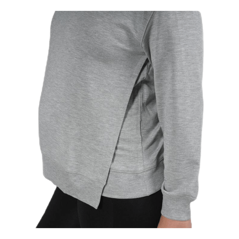 The sweatshirt Grey