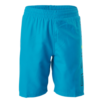 Junior 8" Volley Shorts Blue