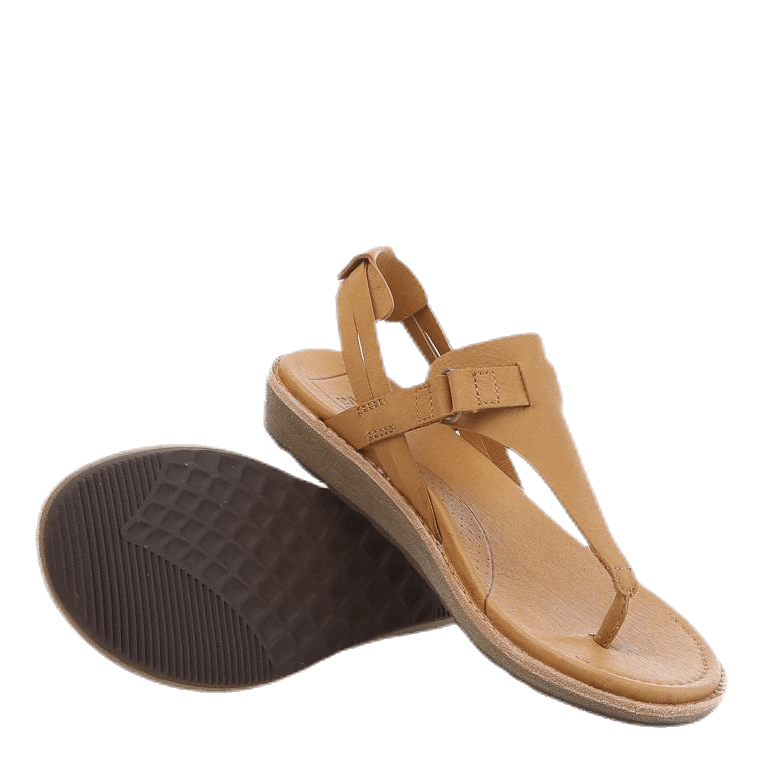 Teva 2025 encanta thong