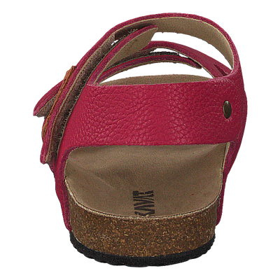 Bomhus EP Cerise