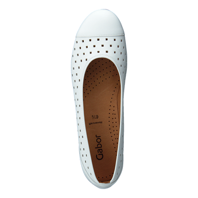 44.169.21 White