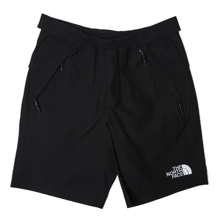 North face nylon shorts sales
