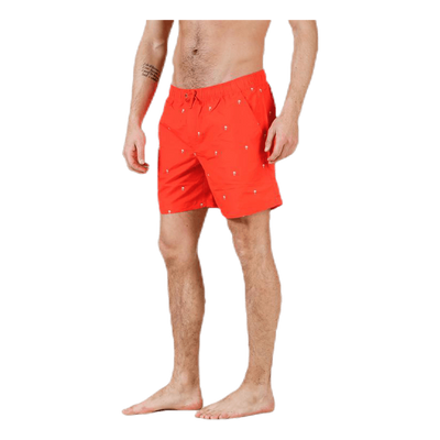 Scale Shorts Red