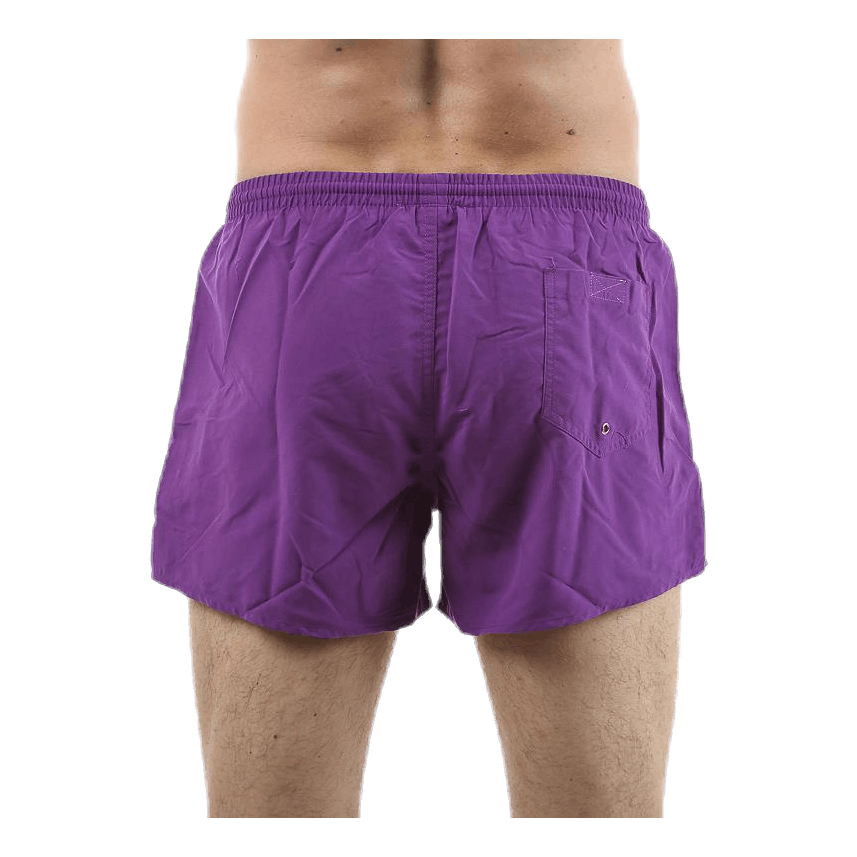 Breeze Swim Shorts Purple