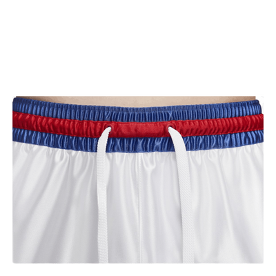 Lebron X Tune SqUAd Shorts Cool